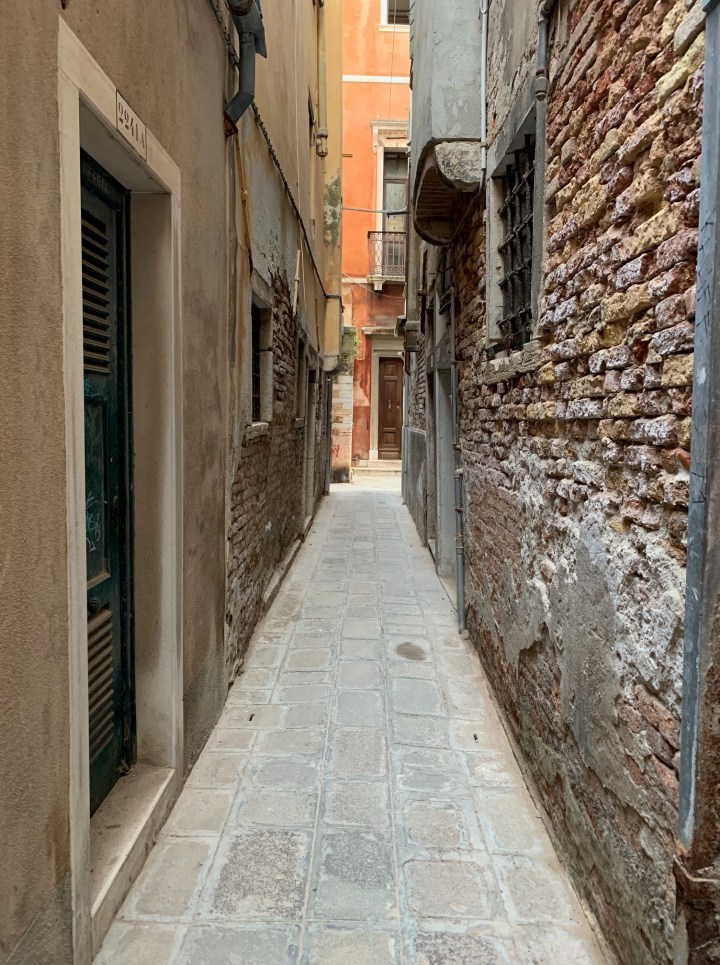 Streets of Venice in Daylight